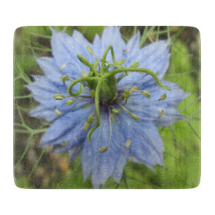 Nigella Blue Green Blooming Blume Schneidebrett