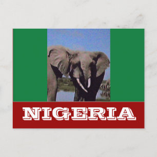 Nigeria-Flagge Postkarte