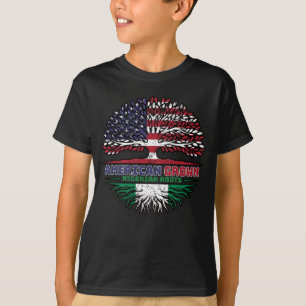 Nigeria - USA USA - Vereinigte Staaten T-Shirt