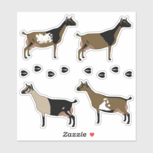 Nigerianische Zwerg Milchziege Aufkleber