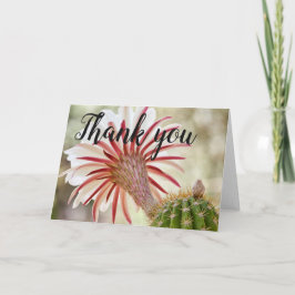 Night Bloomer Kaktus Blume danke