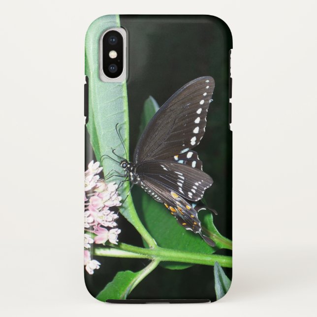 Night Butterfly Black Frack in Shenandoah Case-Mate iPhone Hülle (Rückseite)