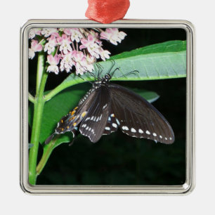 Night Butterfly Black Frack in Shenandoah Ornament Aus Metall