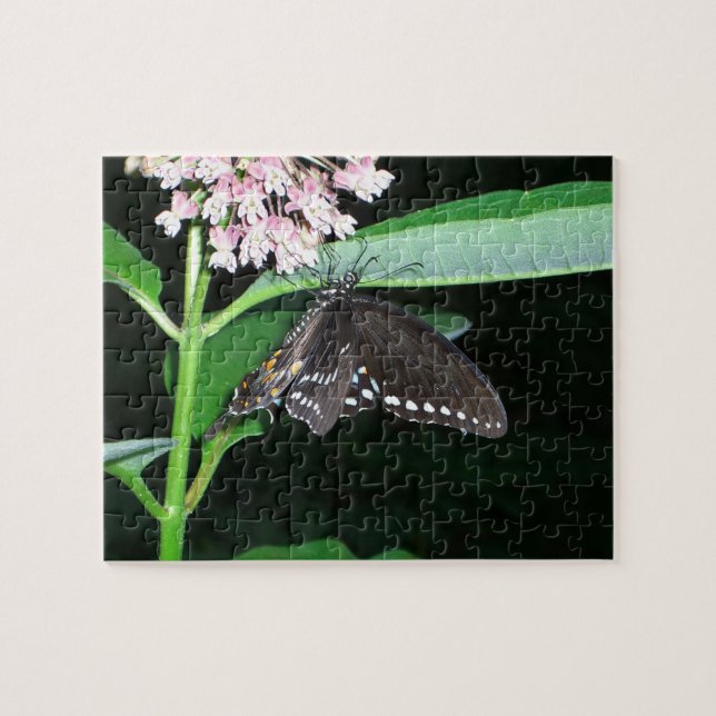 Night Butterfly Black Frack in Shenandoah Puzzle (Horizontal)