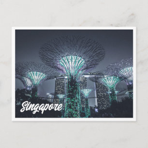 Night Foto Singapore Gardens Postcard Postkarte