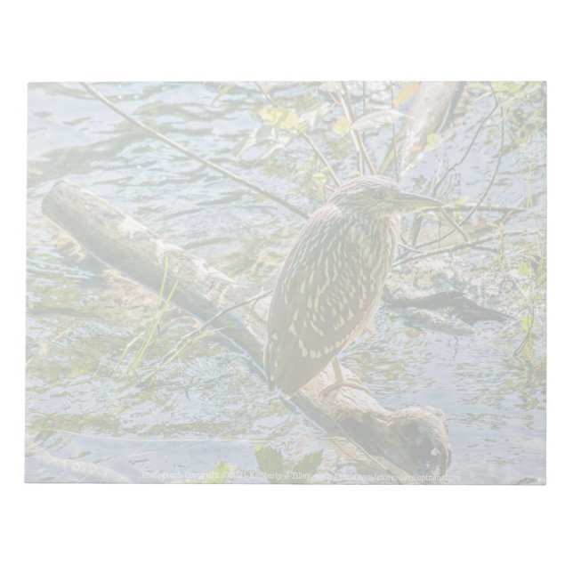 Night Heron jv Notizblock (Vorderseite)