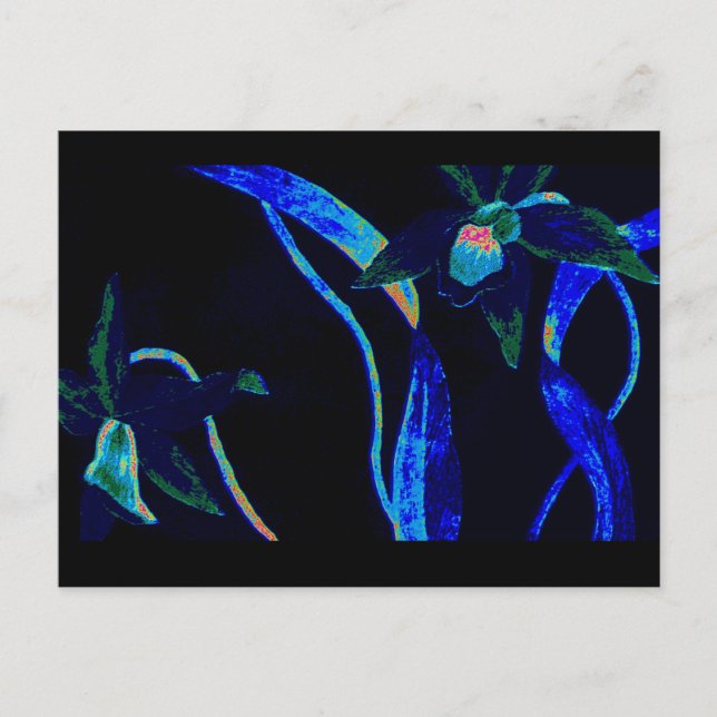 Night Orchid Postkarte (Vorderseite)