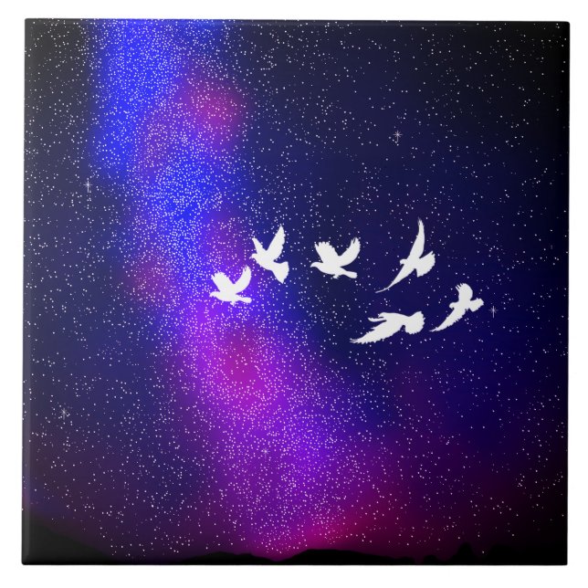 Night Sky Fliese (Vorderseite)