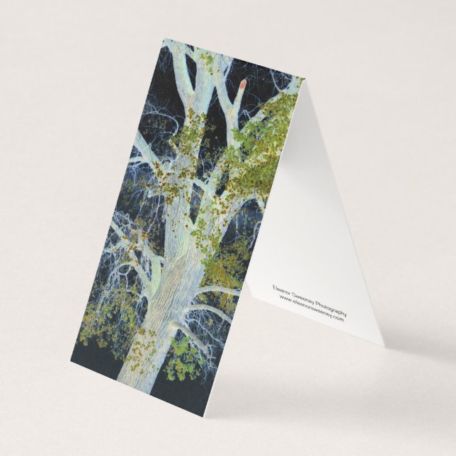 "Night Tree" Digitales Bild von Tree & Sky (Vorderseite)