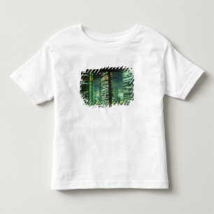 Nightscape, Shinjuku, Tokio, Japan Kleinkind T-shirt