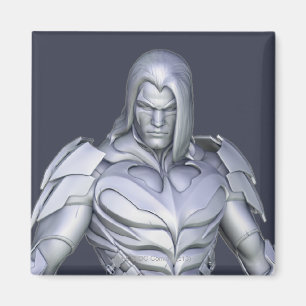 Nightwing Alternative Magnet