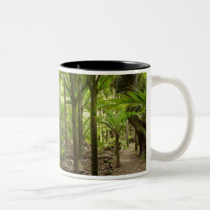 Nikau-Palmen, Heaphy Track, bei Karamea, Zweifarbige Tasse