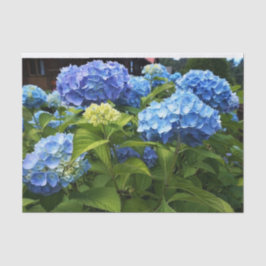 Nikko Blue Hydrangea Blume Decoupage Craft Seidenpapier