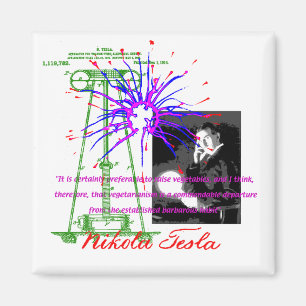 Nikola Tesla Magnet