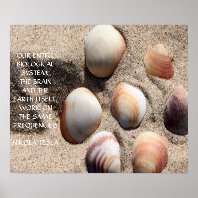 NIKOLA TESLA QUOTE - GLEICHE HÄUFIGKEITEN - POSTER (Vorne)