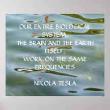 NIKOLA TESLA ZITAT - GLEICHE FREQUENZEN -