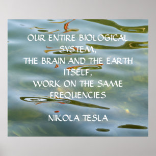 NIKOLA TESLA ZITAT - GLEICHE FREQUENZEN - POSTER