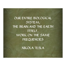 NIKOLA TESLA ZITAT - GLEICHE FREQUENZEN -