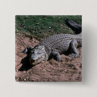 Nil-Krokodil Button
