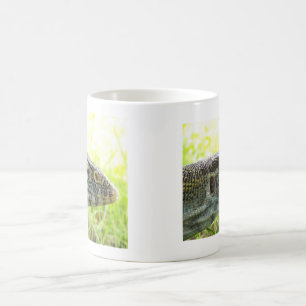 Nil-Monitor Tasse
