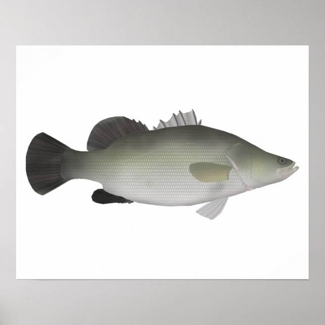 Nile Perch Poster (Vorne)