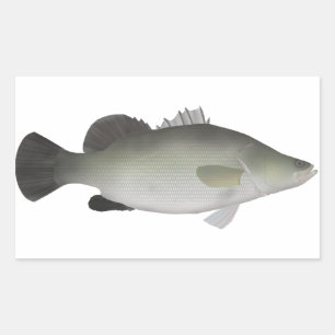 Nile Perch Rechteckiger Aufkleber