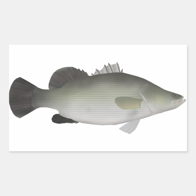 Nile Perch Rechteckiger Aufkleber (Vorderseite)
