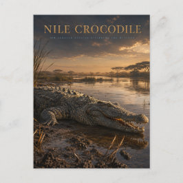 Nilkrokodil Afrikanischer Fluss TIERE Postkarte
