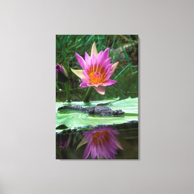 Nilkrokodil (Crocodylus Niloticus) Hatchling Leinwanddruck (Vorderseite)