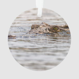 Nilkrokodil Ornament