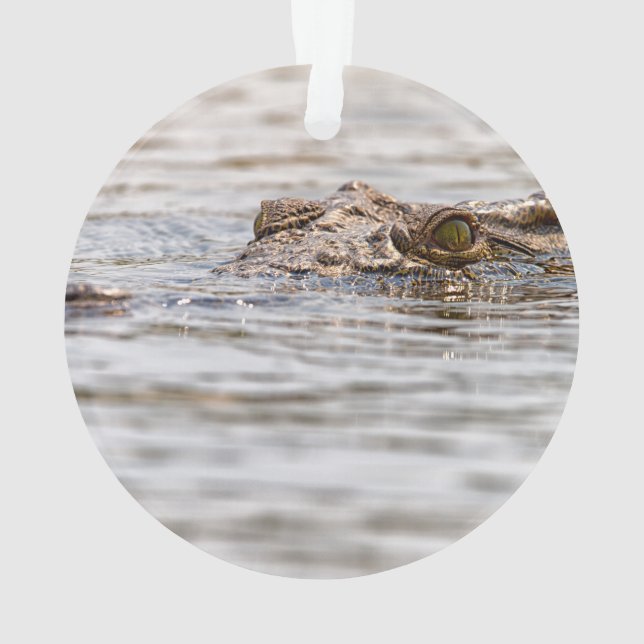 Nilkrokodil Ornament (Rückseite)