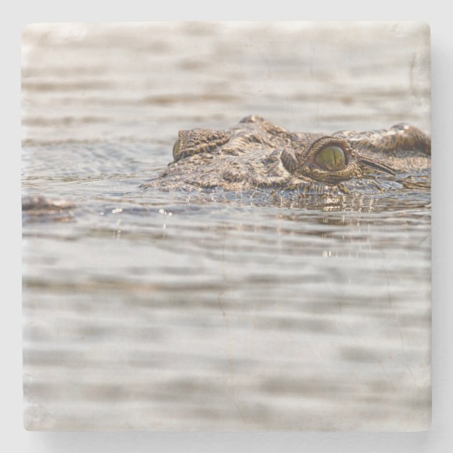 Nilkrokodil Steinuntersetzer (Vorderseite)