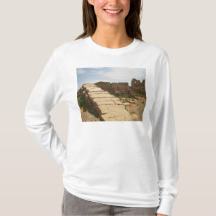 Nilometer, von der Leichenhalle T-Shirt