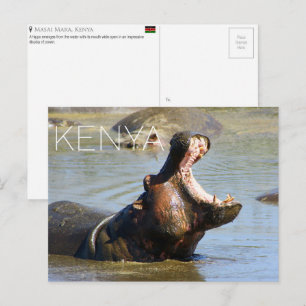 Nilpferd in Masai Mara, Kenia Reise-Postkarte Postkarte