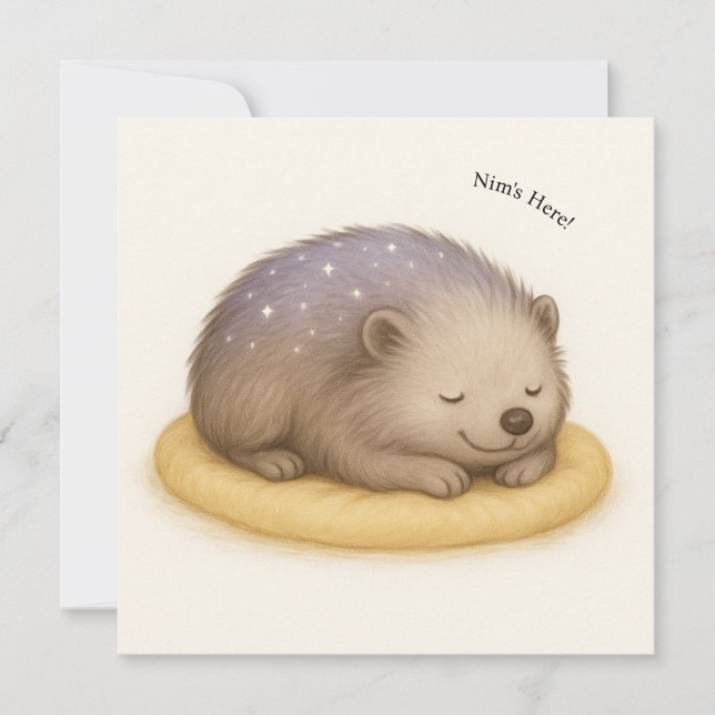 Nim Sleeps individuell anpassbare Comfort-Serienka (Vorderseite)