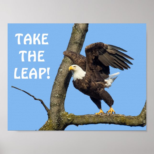 Nimm den Sprung! Poster (Vorne)