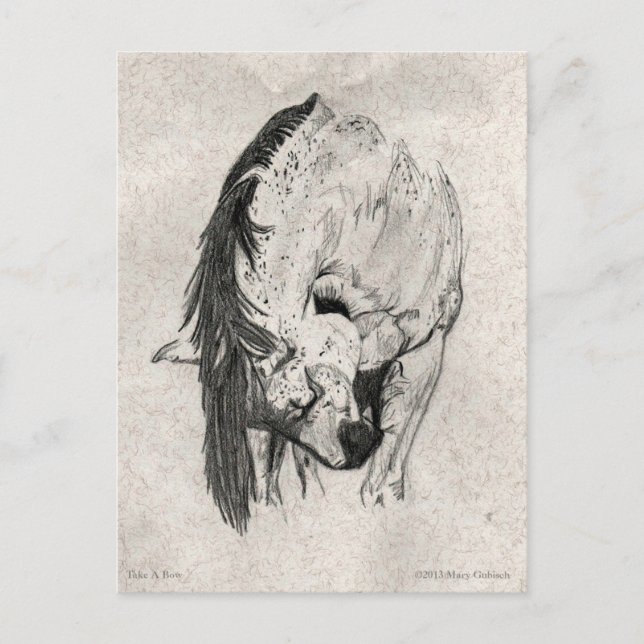 Nimm eine Bow von Mary Gubisch. Postkarte (Vorderseite)