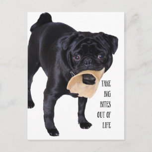 Nimm große Bisse aus dem Leben Postkarte