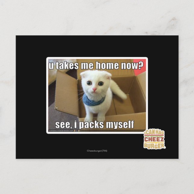 Nimm mich jetzt Zuhause? Postkarte (Vorderseite)