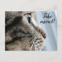Nimm mich raus! Cat Kitten Valentinstag Postkarte