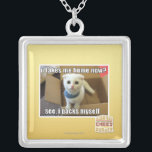 Nimm mir jetzt Zuhause? Versilberte Kette<br><div class="desc">Ich kann cheezburger Custom Merch!</div>