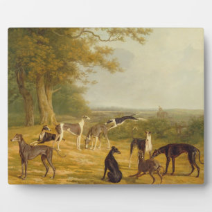 Nine Greyhounds in a Landscape (oil on canvas) Fotoplatte