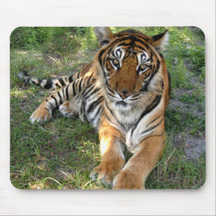 nini 005 mousepad