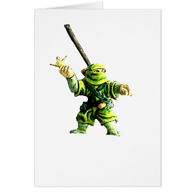 Ninja in Green (Vorne)