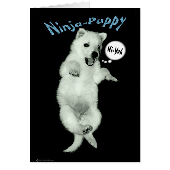 Ninja Puppy (Vorne)