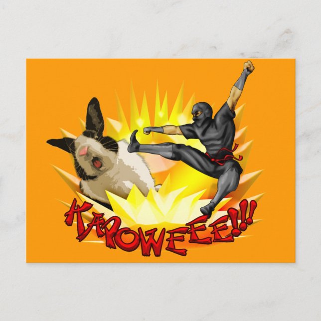 Ninja vs. Bunny Postcard(?!???) Postkarte (Vorderseite)