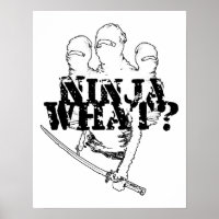NINJA WAS?