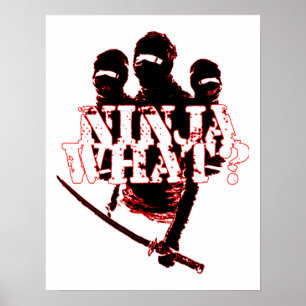 NINJA WAS? POSTER