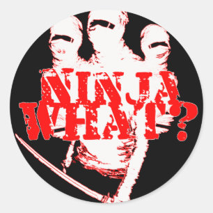 NINJA WAS? RUNDER AUFKLEBER