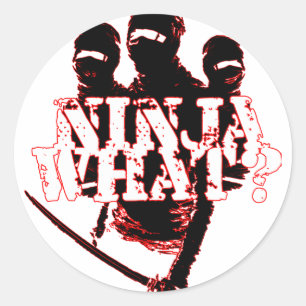 NINJA WAS? RUNDER AUFKLEBER
